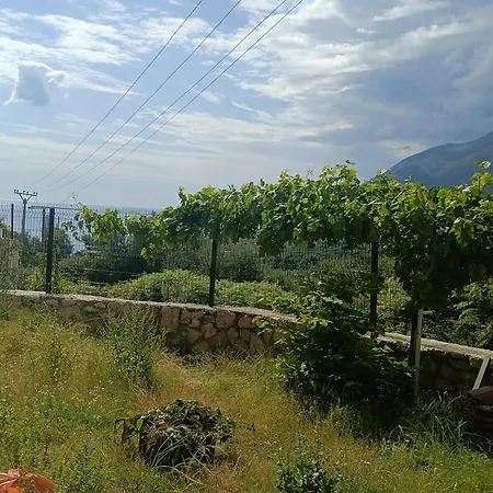 Auberge de jeunesse Greengate Gjilek